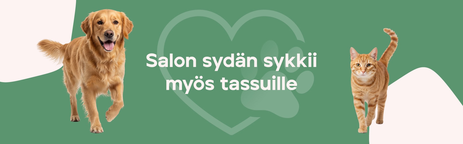 Kultainennoutaja ja oranssi kissa vihreällä taustalla. Teksti: Salon sydän sykkii myös tassuille.